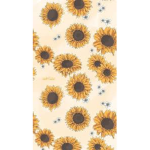 Sunny.Sunflower