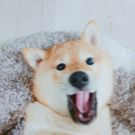 루바 그룹