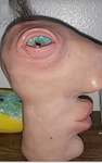 supa sal 2