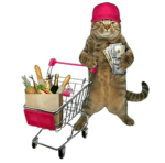 put groceries in the bag bro