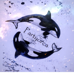 Partyorca444