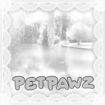 PETPAWZ