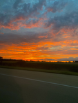 Panda fans:)