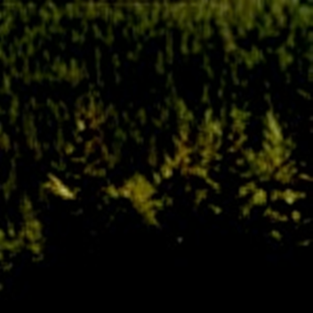 scary nigth (update)