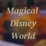 Magical Disney World