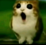 Pnutboi7 </3