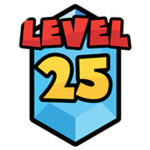Level 25