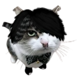 Emo Wawa