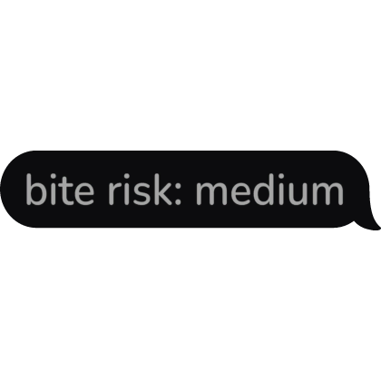 bite risk medium Text Bubble