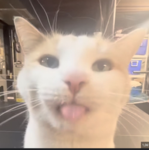 NickProduction