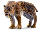 The saber tooth tigers