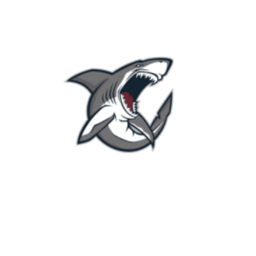 Shark palace