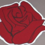 ~withered Rose~