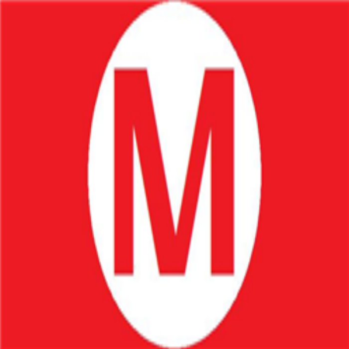 marios M Roblox decal