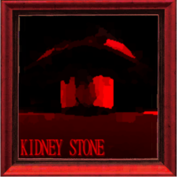 KIDNEY STONE