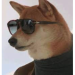 giga dogs