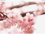 Rising Blossoms