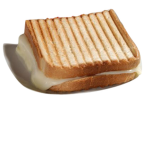 toasty team