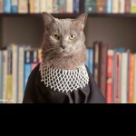 Supreme Court of the United States