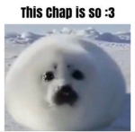 SEALS:3