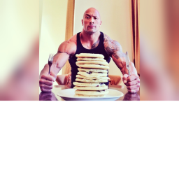 the rock