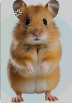 A AngryHamster