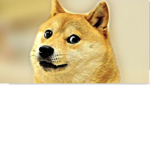 The Doge Army That Likes Brownies