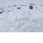 Frost paws
