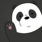 Panda friends