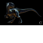 save the lizards