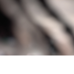 Story_Cult