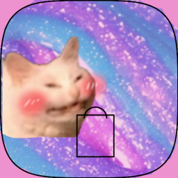 blushcat homestore✨