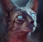 WARRIORCATFAN