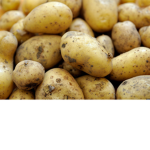 potato fan club for potatoes e