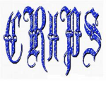 CR!!P GANG YESSIR!!