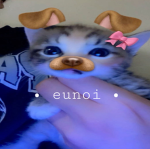 • Eunoi •