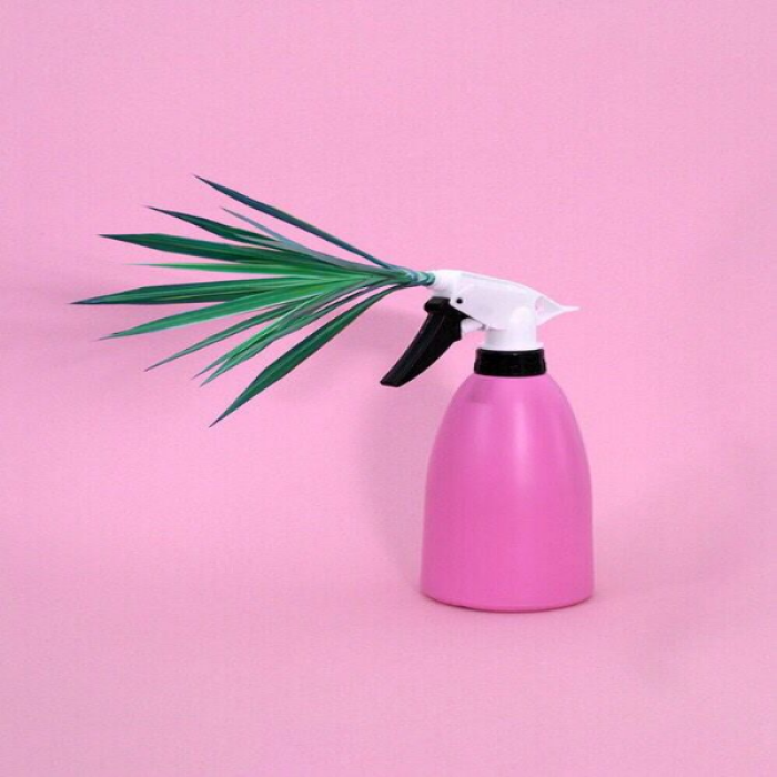 SPRAY LEAF Roblox decal