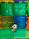 Dogidog Magnetise Games