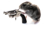 Thé Hámstér Army