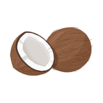 petit_CoCo