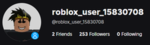 roblox_user_community