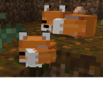 ODD FOX