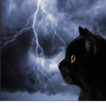 *.*StormClan*.*
