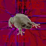 Group Thumbnail