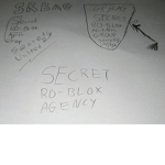 SRBAG Secret RO-BLOX Agents Group