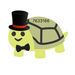 P Ǧang
