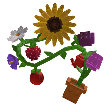 Grown From a Garden