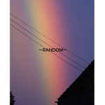 ~ʀᴀɴᴅᴏᴍ~