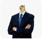 buiness doge