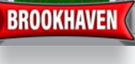 Brookhaven rp my group